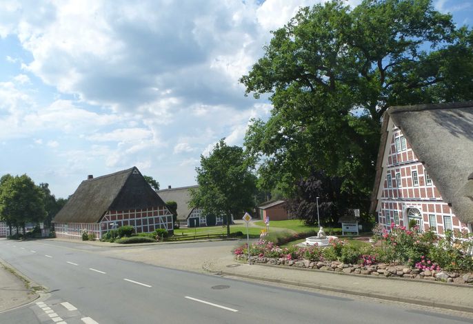 Bild 56