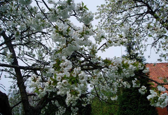 Bild 46