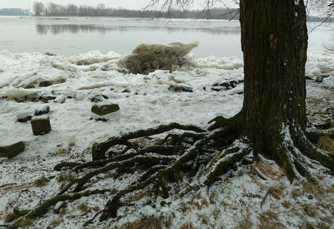 Bild 14