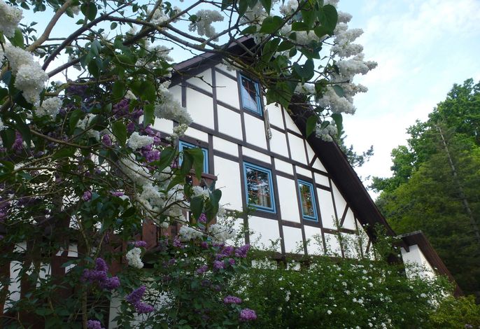 Bild 19