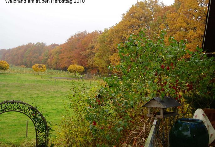 Bild 45