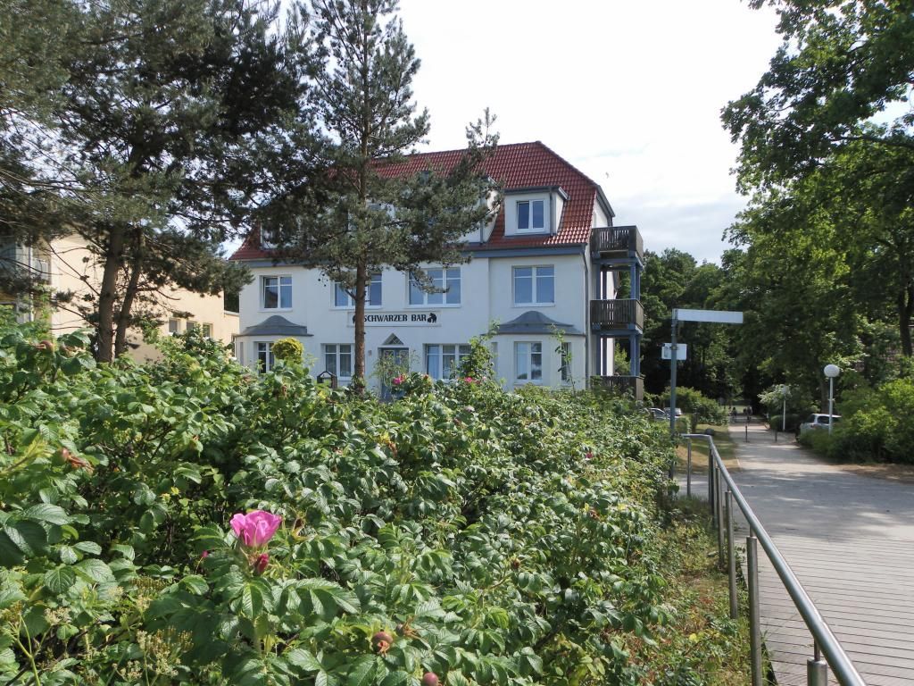 Schwarzer Bär - Blick auf die Villa