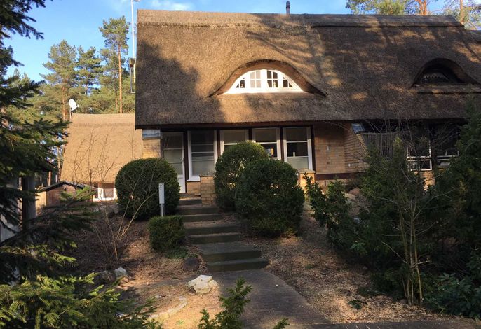 Ferienhaus Dünenwald 1-2 SZ bis max. 4 Pers. und 1 Baby