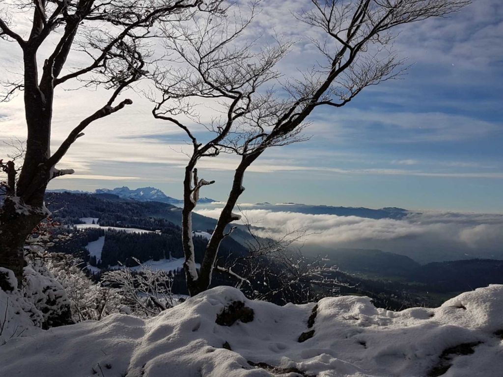 Aussicht vom Brüggelekopf