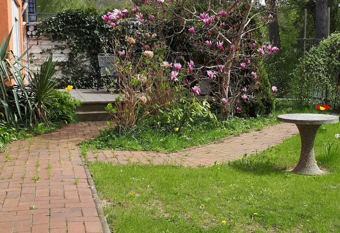 Bild 9
