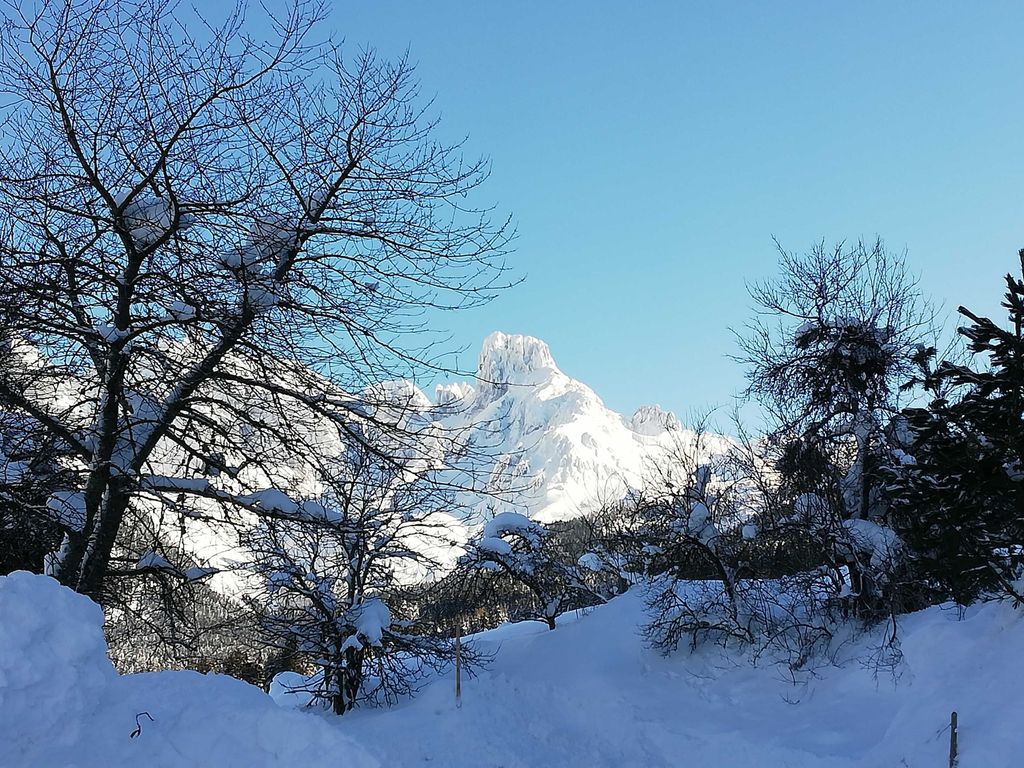 Bischofsmütze