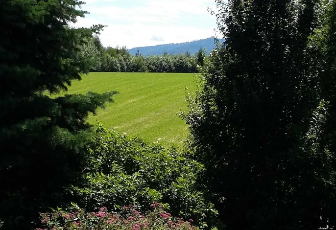 Bild 19