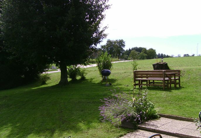Bild 11