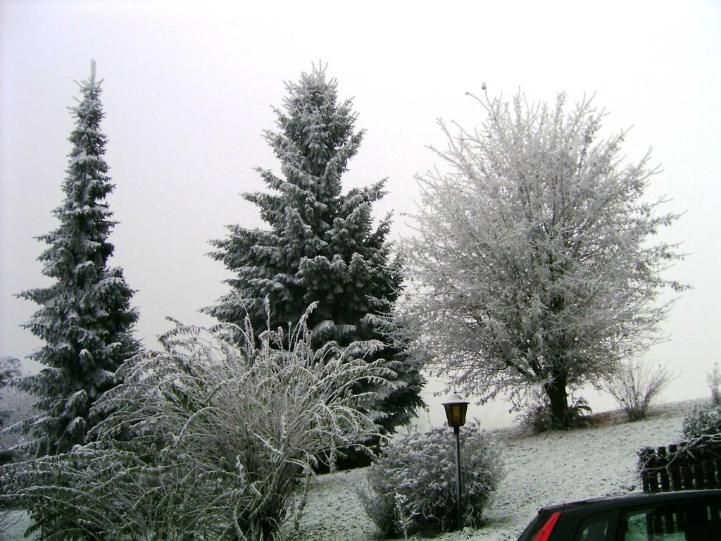 Garten im Winter