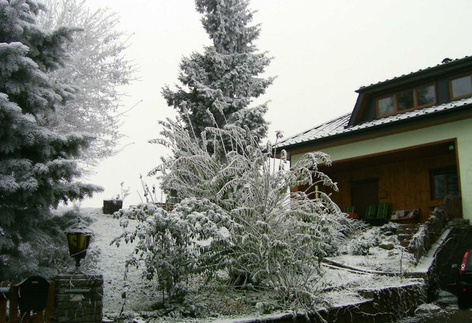 Bild 39