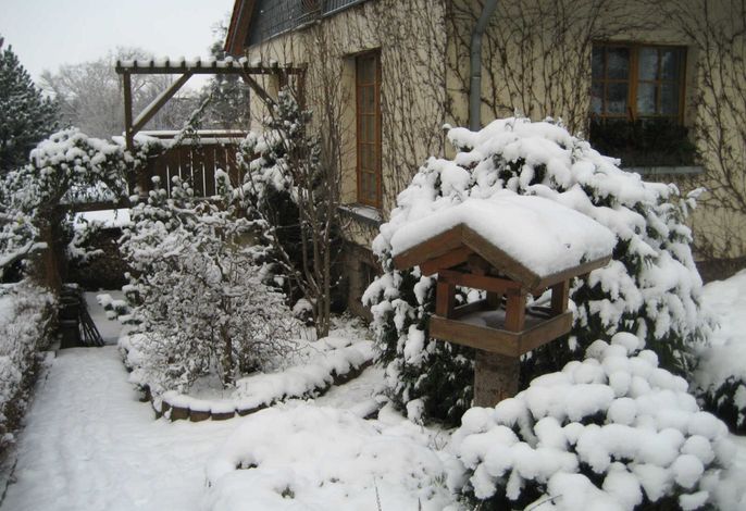 Bild 12