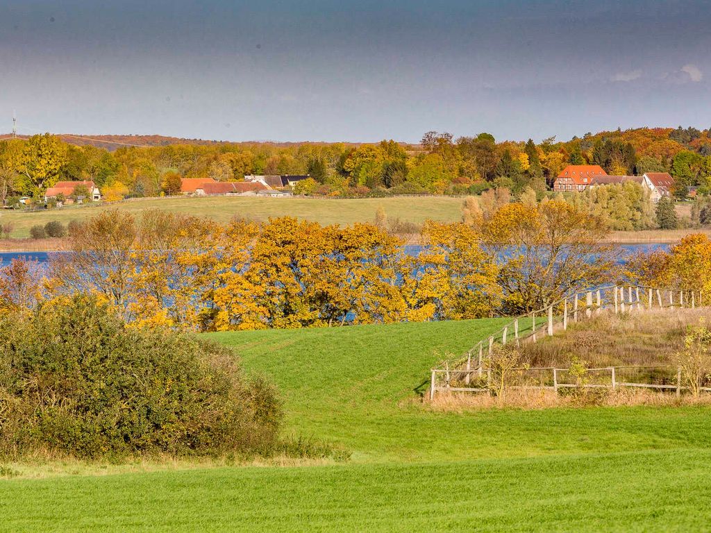 Ausblick ins Grüne