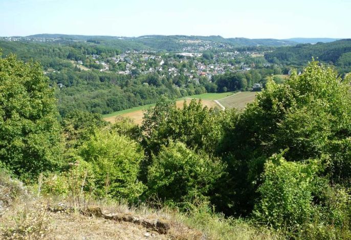 Bild 11