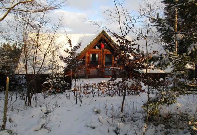 Bild 19