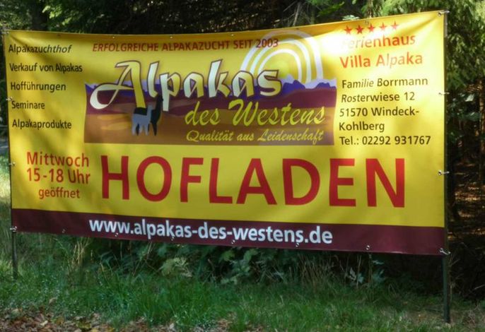 Bild 14