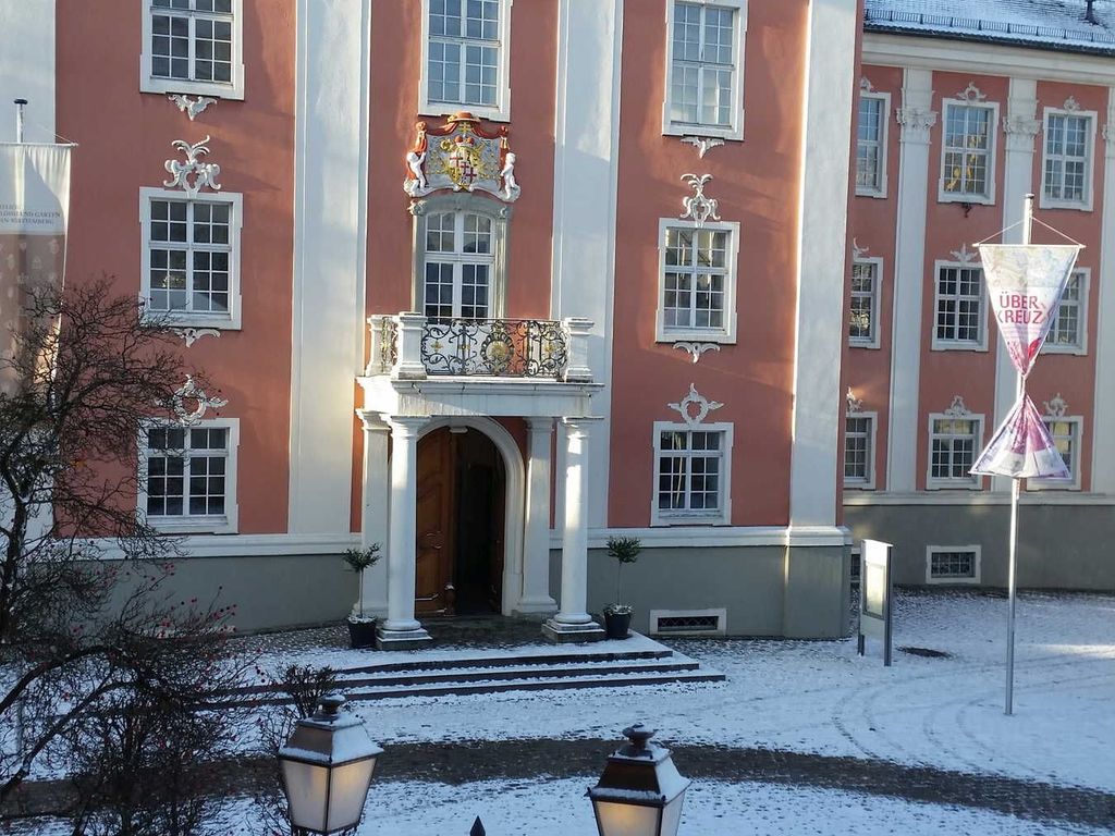 Schnee?! Manchmal passiert's über Nacht auch in Meersburg-
