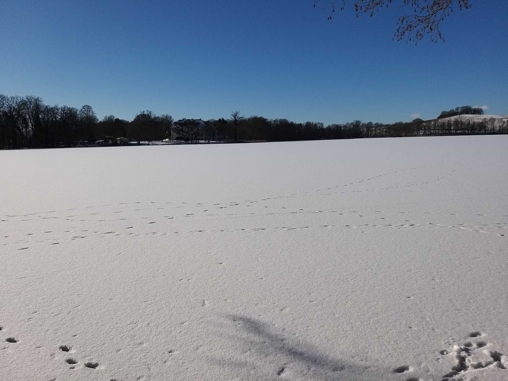 Haussee im Winter