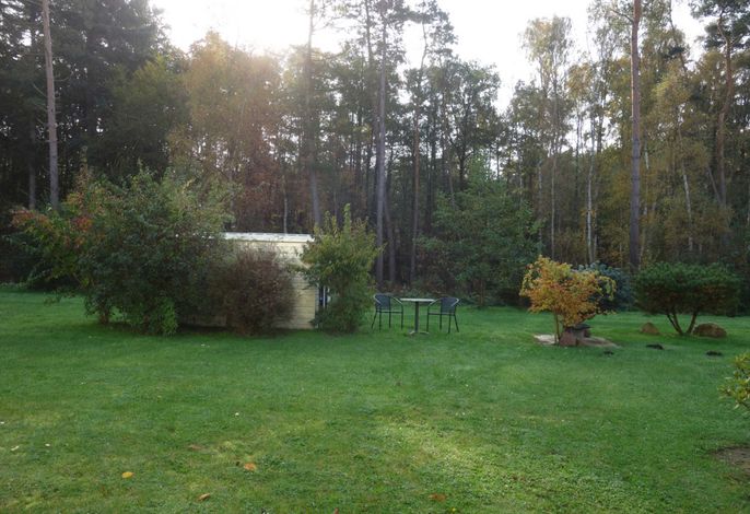 Küstenwald - Ferienzimmer kleiner Eikkater 8