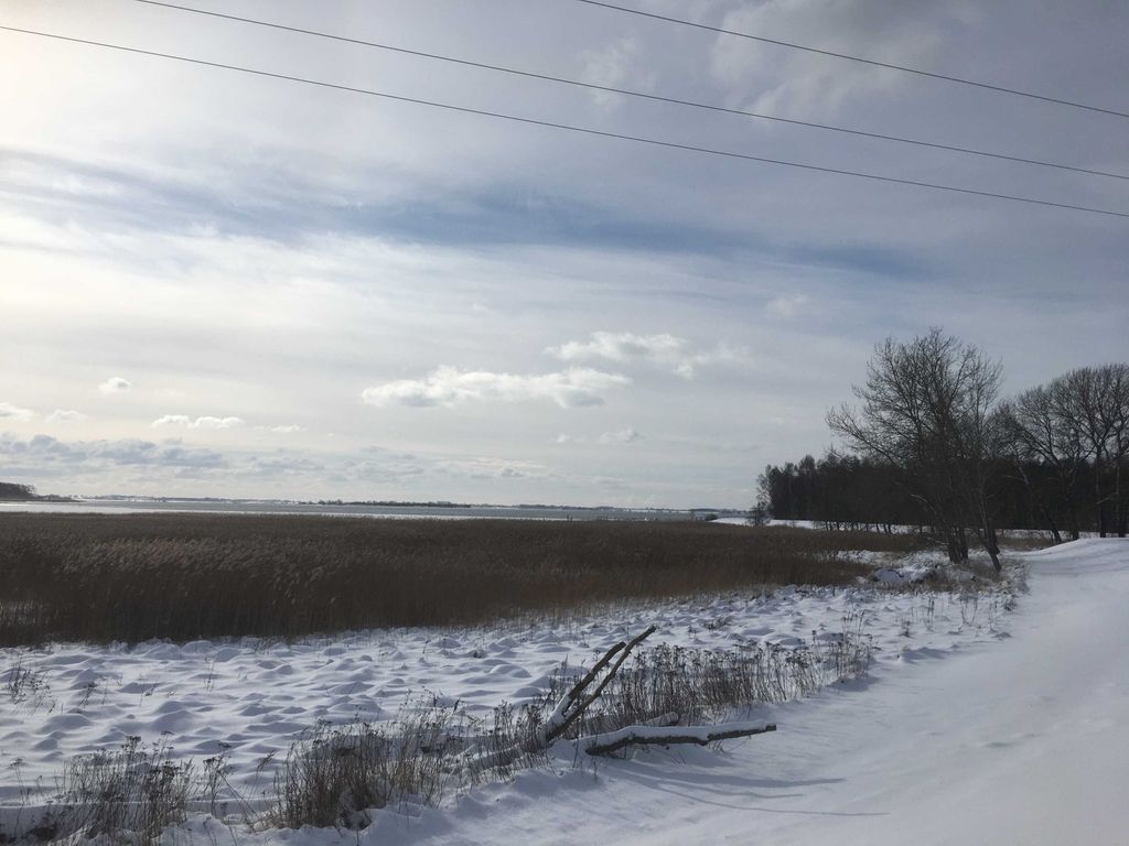 Blick auf den Bodden