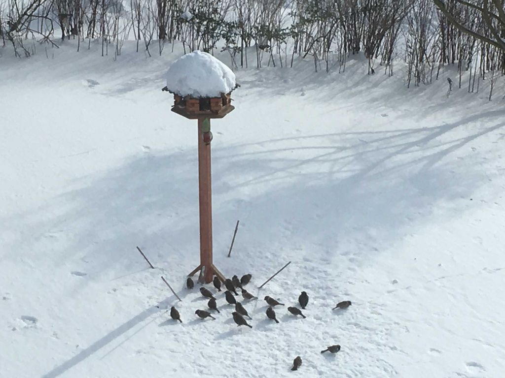 Vogelhaus im Garten