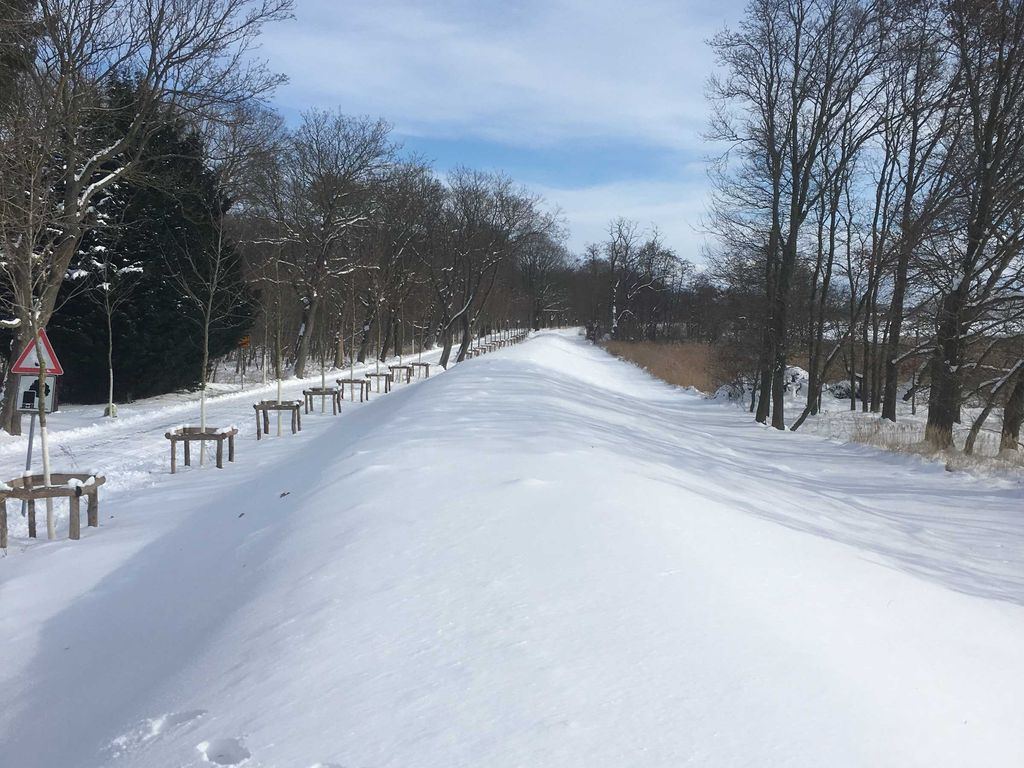 Deich im Winter 2018
