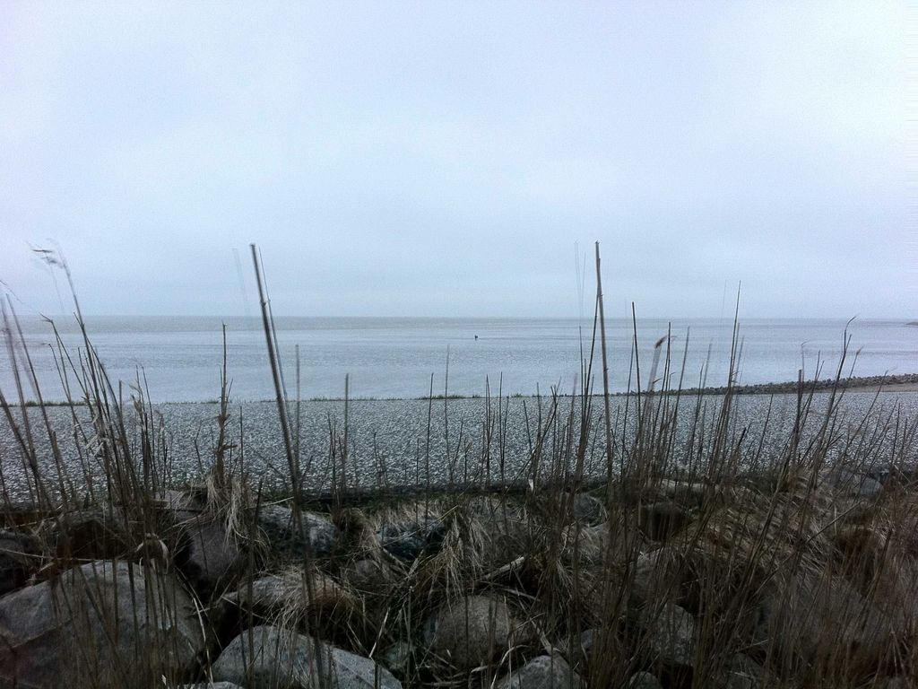 Am Meer