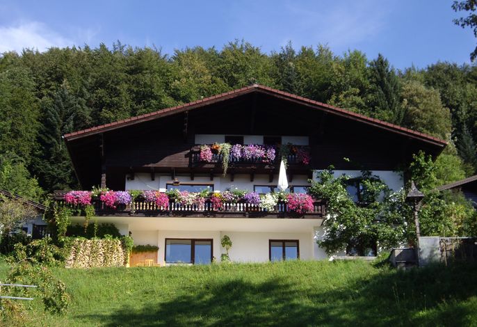Ferienwohnung