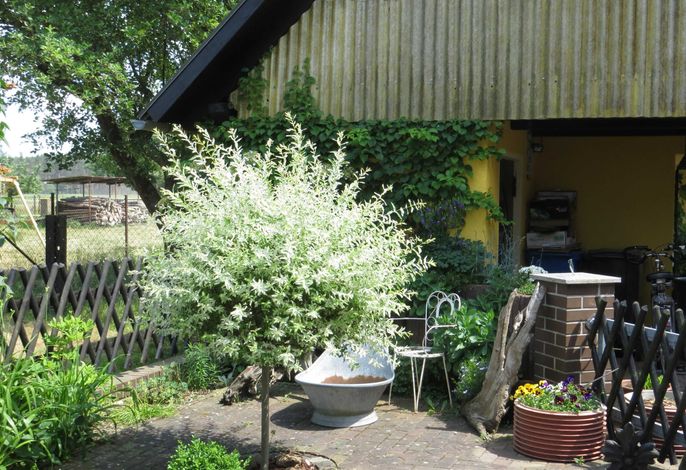 Bild 5