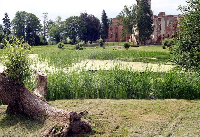 An der Klosterruine Dargun