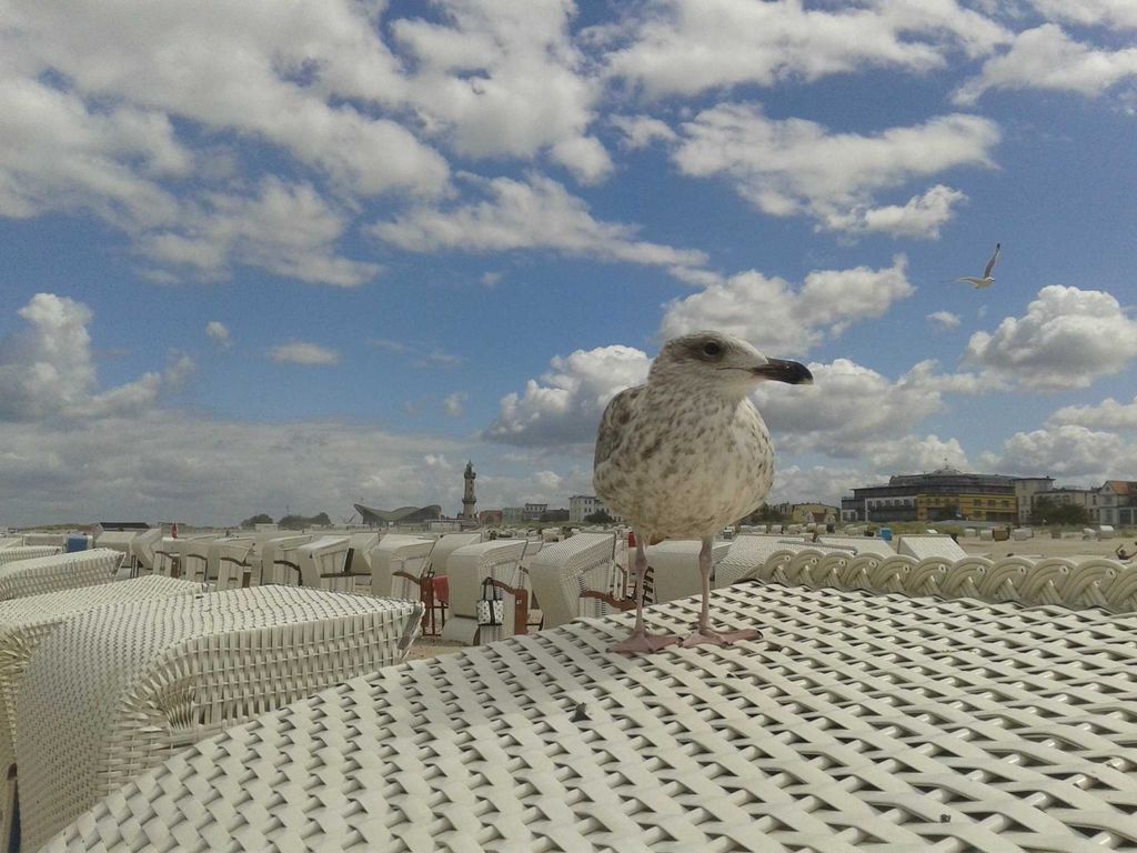 Ferienwohnungen Warnemünde