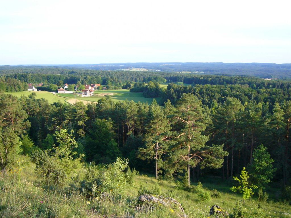 Blick von unserem Hausberg Hohe Leite