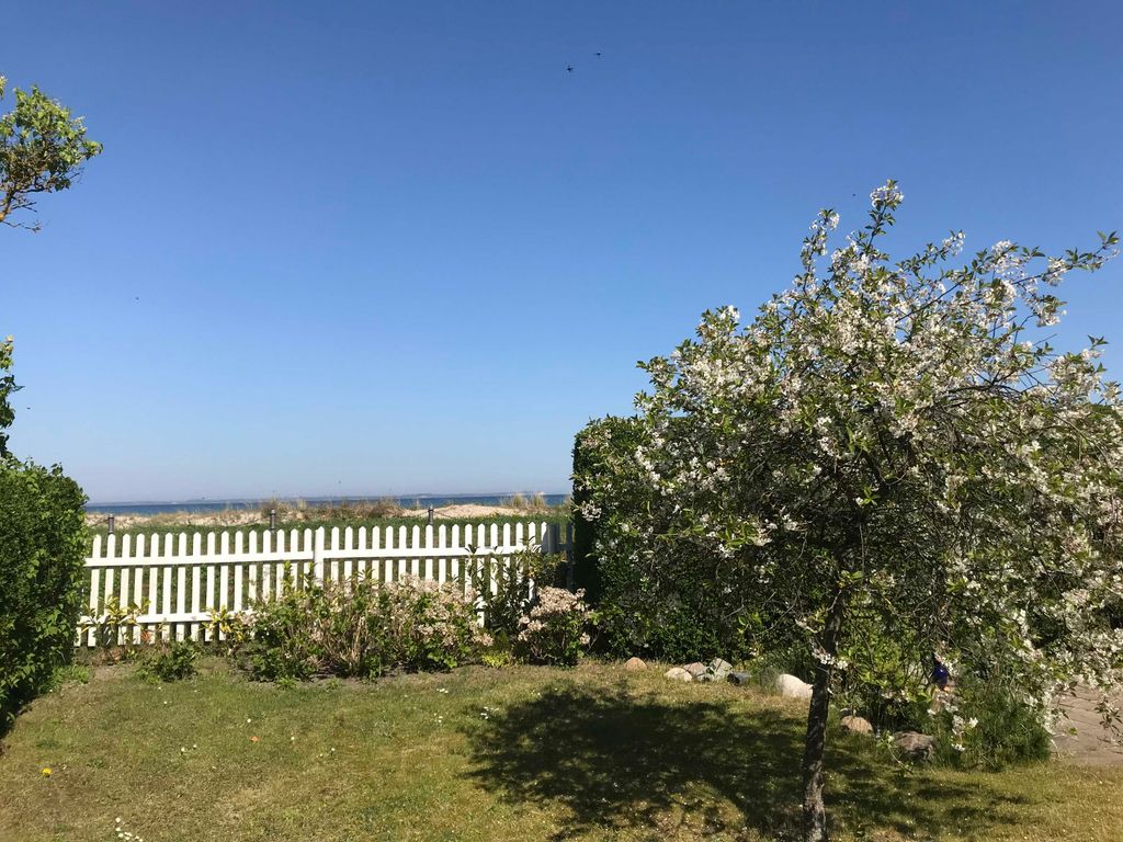 Blick in den Garten Richtung Ostsee