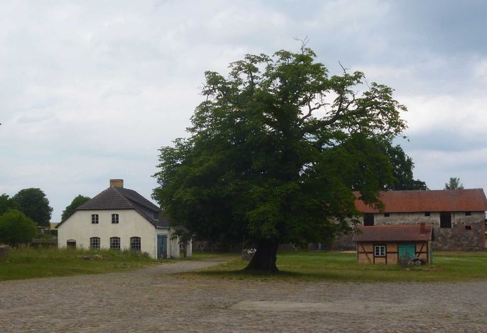 Bild 44