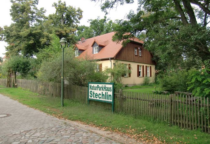 Bild 31