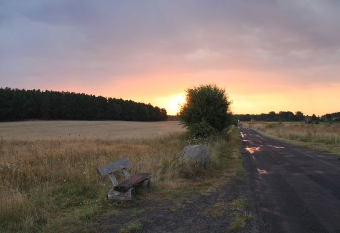 Bild 16