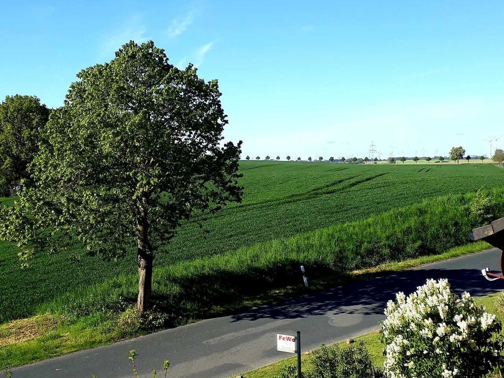 Ausblick