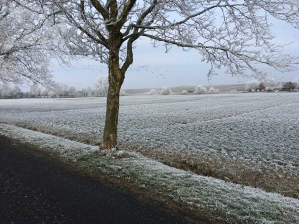 Winterimpression