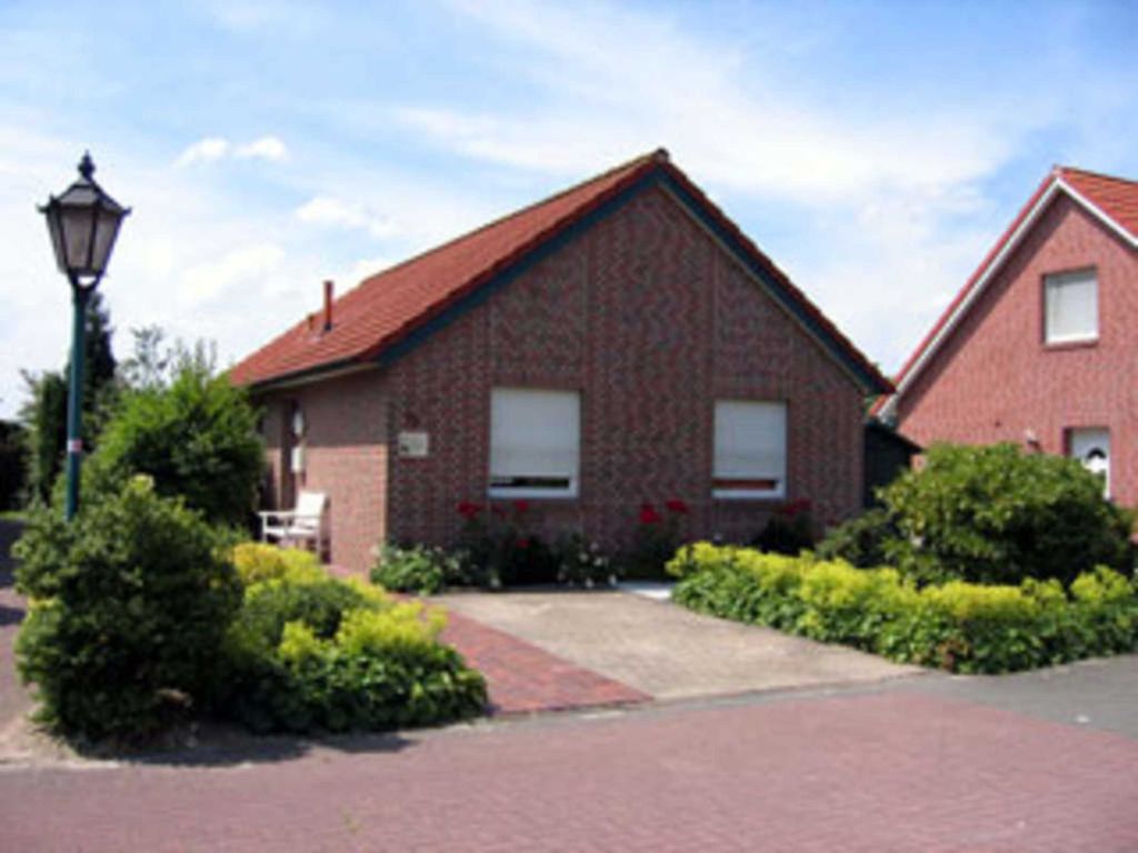 55164