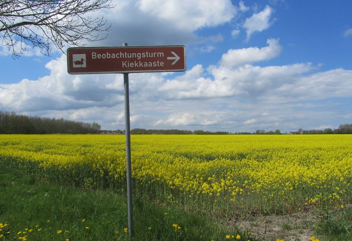 Bild 25