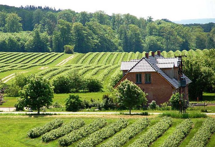 Aussendarstellung
