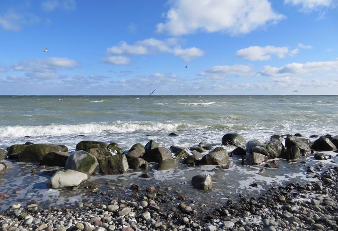 Bild 14