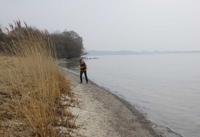 Bild 12