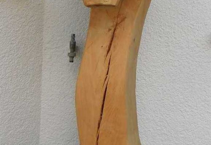 Bild 19