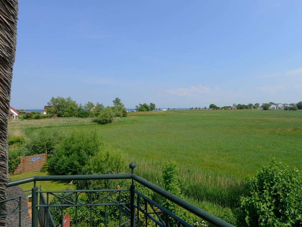 Wildrose - Blick vom Balkon ins Grüne