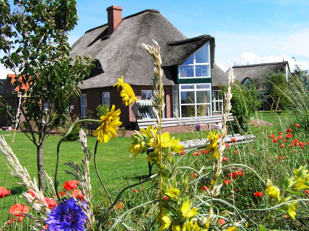 Außenansicht des Hauses im Sommer