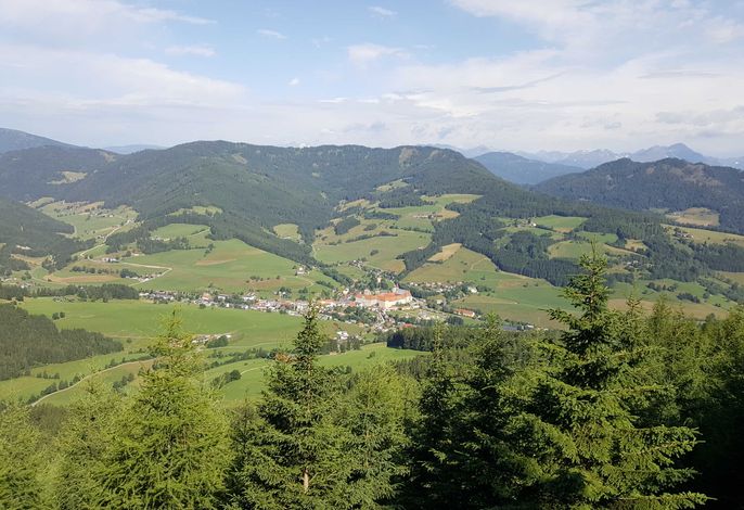 Bild 12