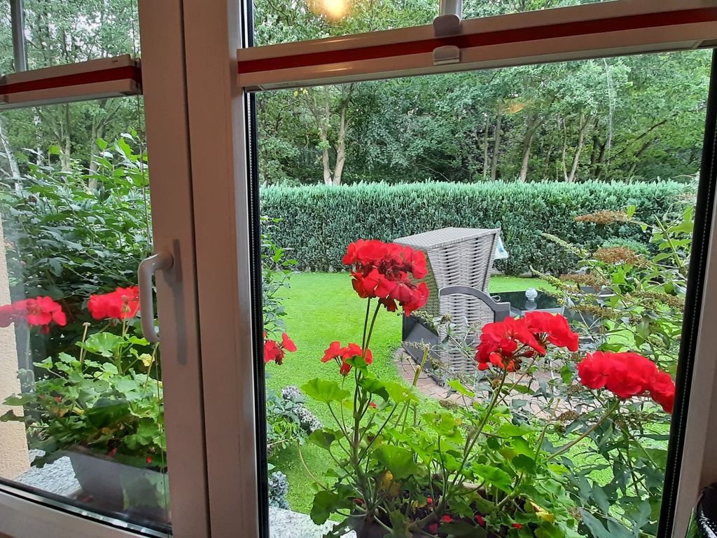 Blick auf den Garten