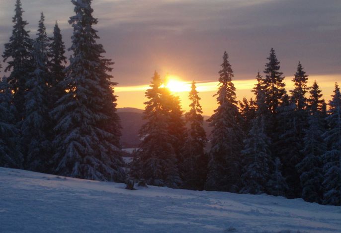 Bild 17