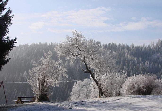 Bild 22