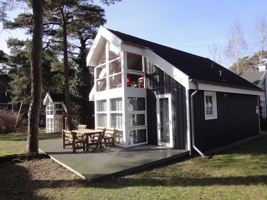 Ostsee Strandhaus Seerobbe